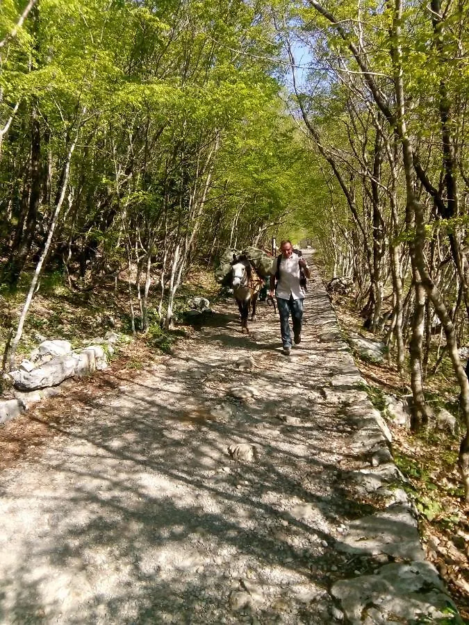 Apartmán Apartmani Nevenka Starigrad Paklenica