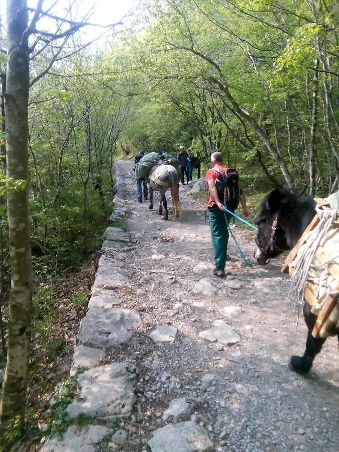 Apartmani Nevenka Starigrad Paklenica 0*,  Chorvatsko